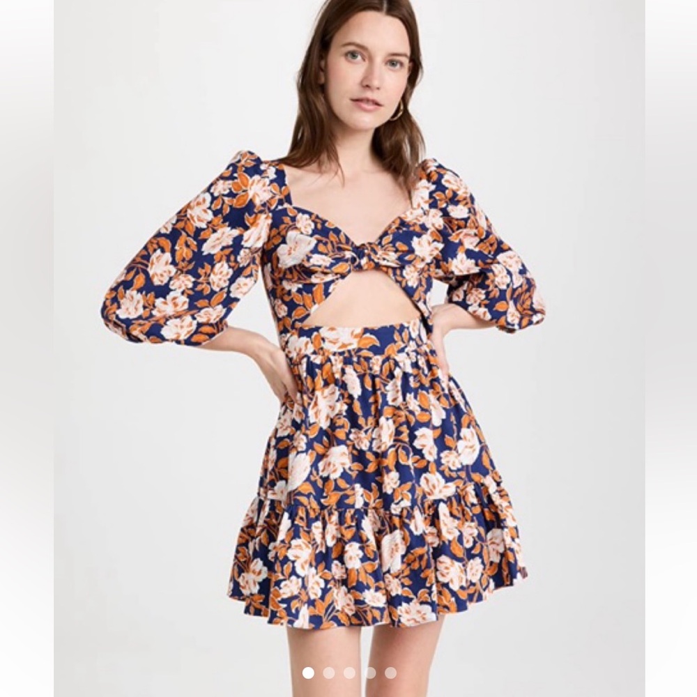 AMUR Floral Blue and Orange Mini Dress